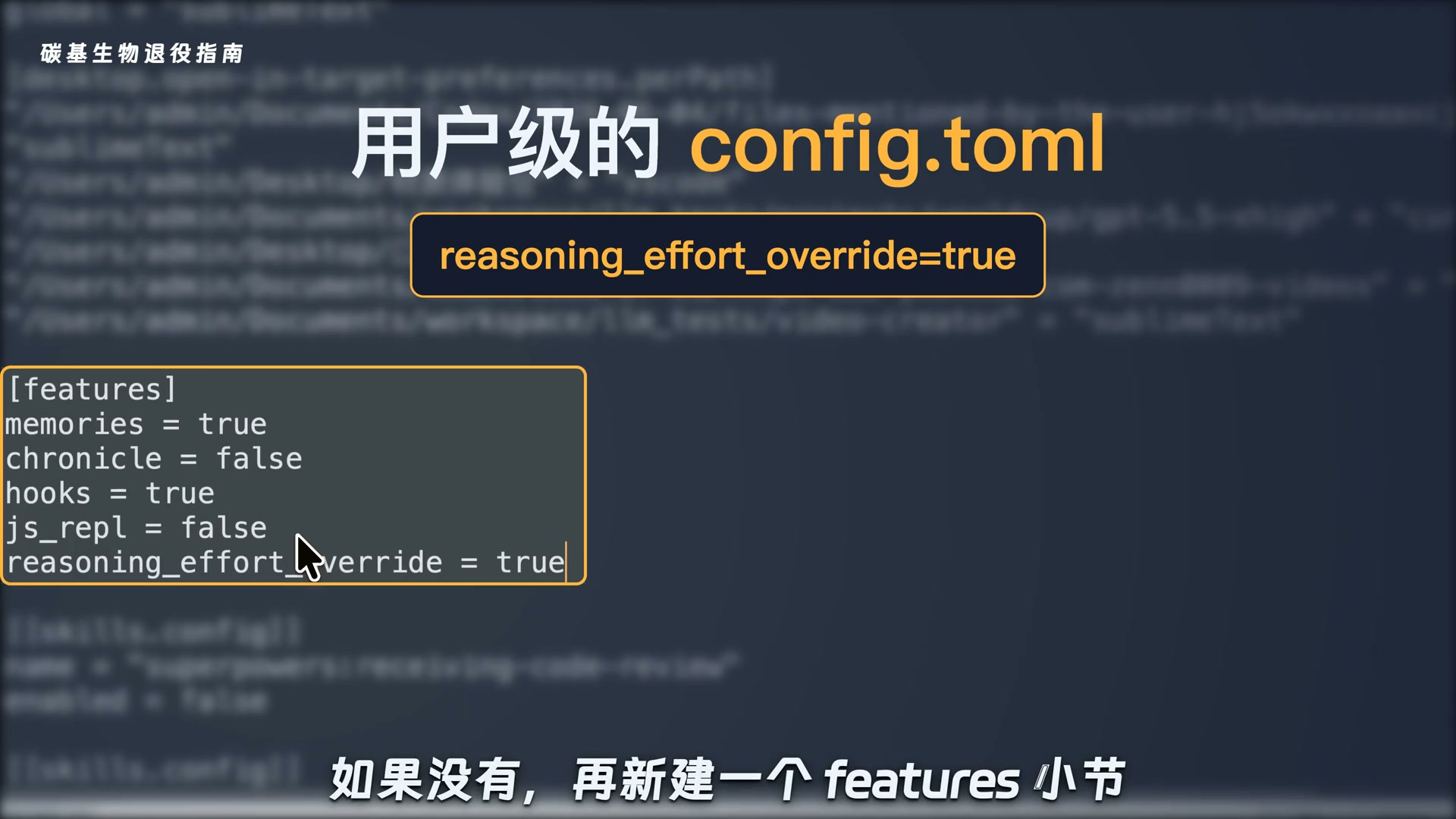 用户级 config.toml 真实配置截图